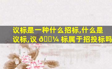 议标是一种什么招标,什么是议标,议 🌼 标属于招投标吗